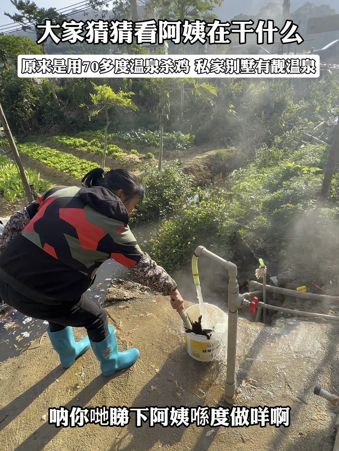 在龙门永汉镇的马星鹤田村发现村民阿姨在放温泉水杀鸡，出水温度70-80度，还有一股硫磺味，温泉村有个