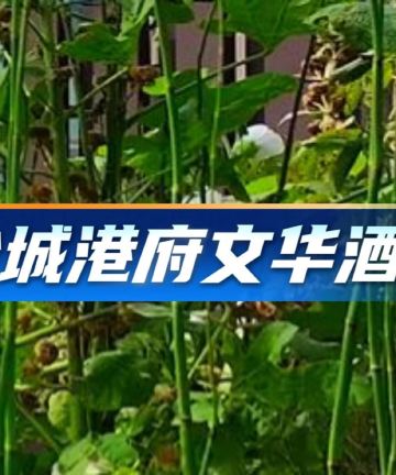 盐城港府文华酒店图片