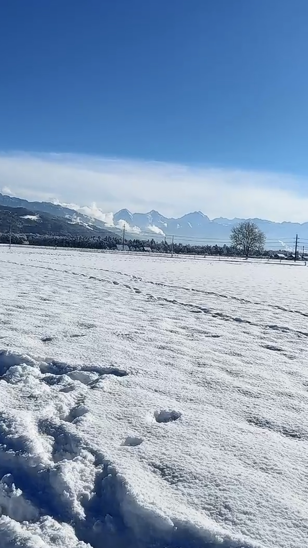 #玩雪行为大赏  2023冬季的瑞士🇨🇭 底色是白色， 却因为地上的、个屋顶的雪中间的房屋三者形成色