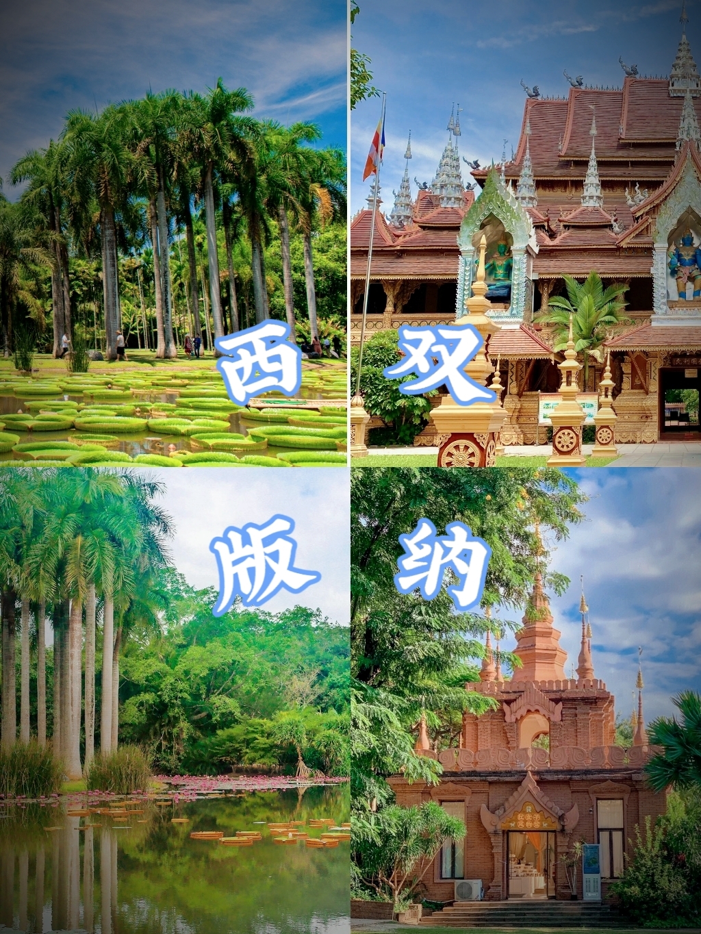 云南丨西双版纳丨热带风情 民族文化