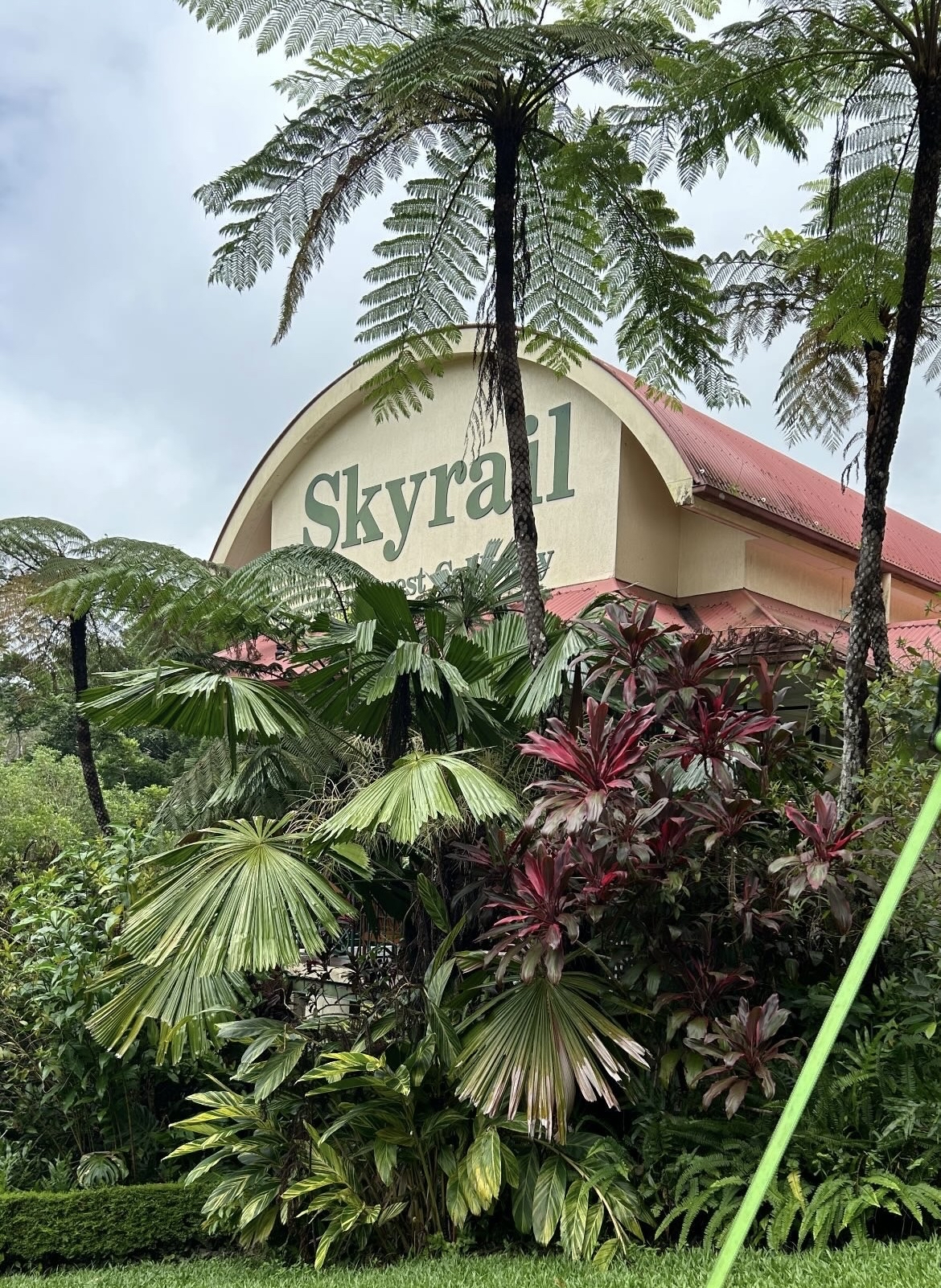 世界最长雨林缆车之旅——Skyrail Rainforest