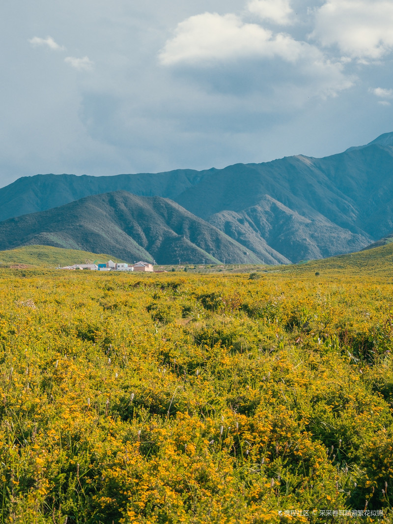 黄草坪自驾营地