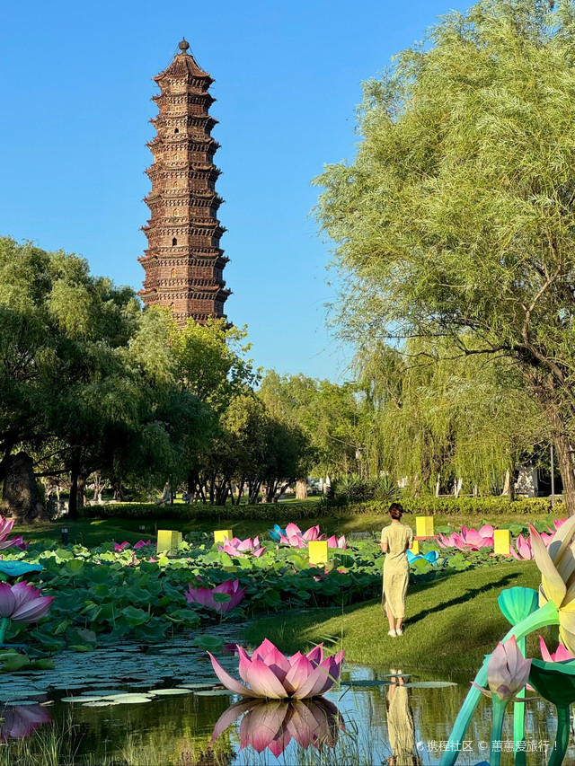 铁塔的钢铁筋骨还浸在落日余晖里,荷塘的风已先一步