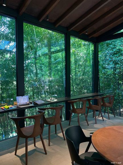 HIGHCLIFF Backyard Café