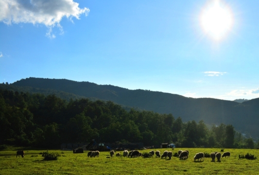云县哨街附中餐厅图片