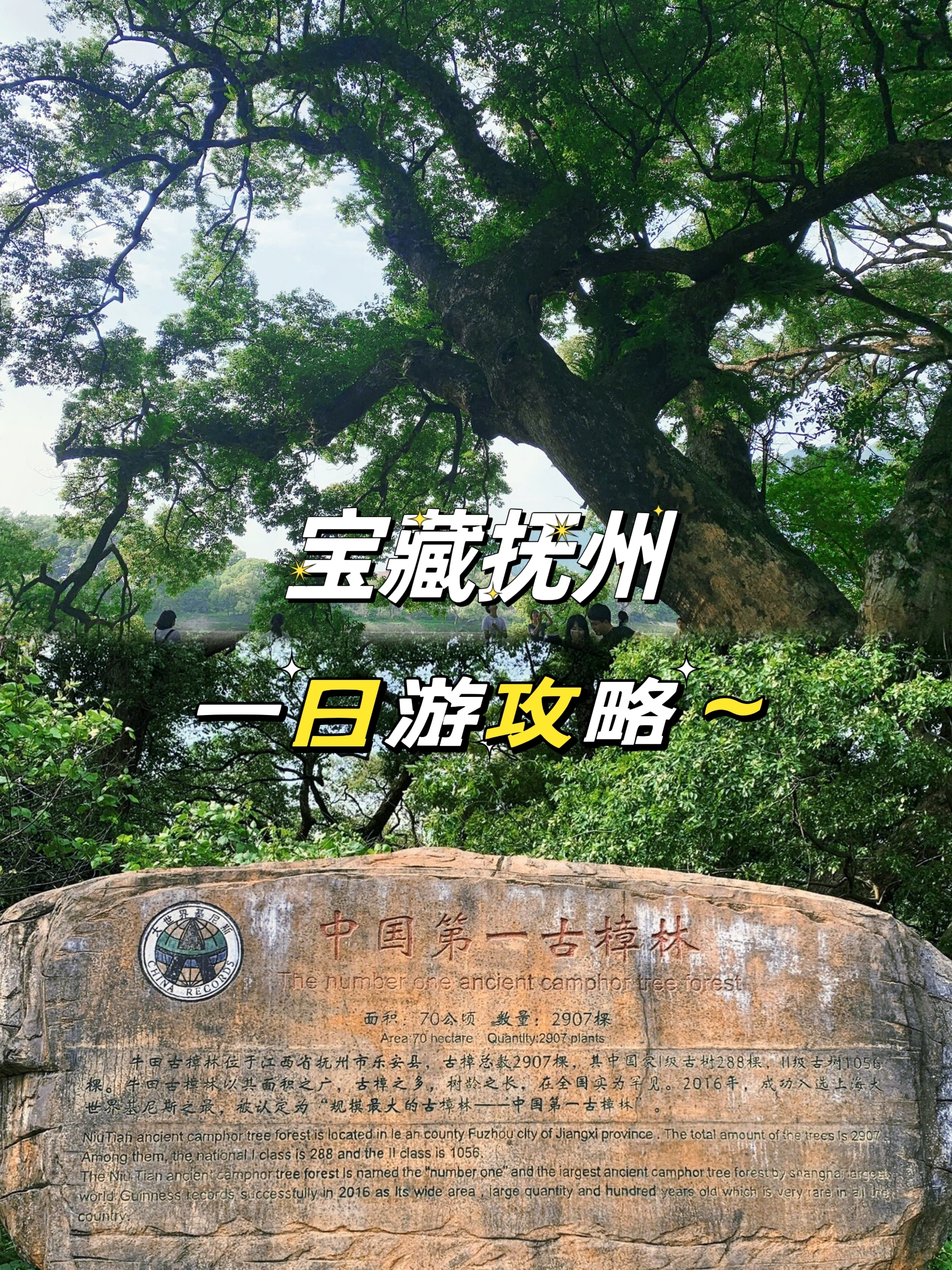 🍃 抚州一日游攻略：江西的隐秘瑰宝与美食之旅 🍃