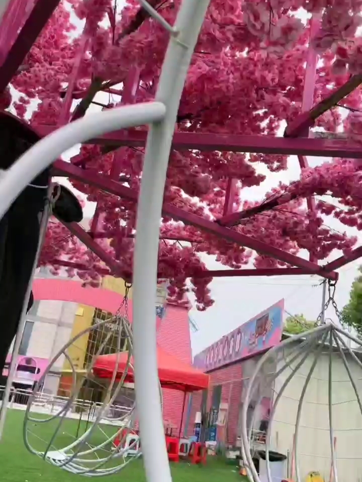 桃花树已坐，会有桃花运吗[Happy]#坐等太平湖滨公园