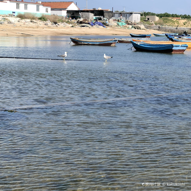 龙口桑岛度假村出游|住宿测评