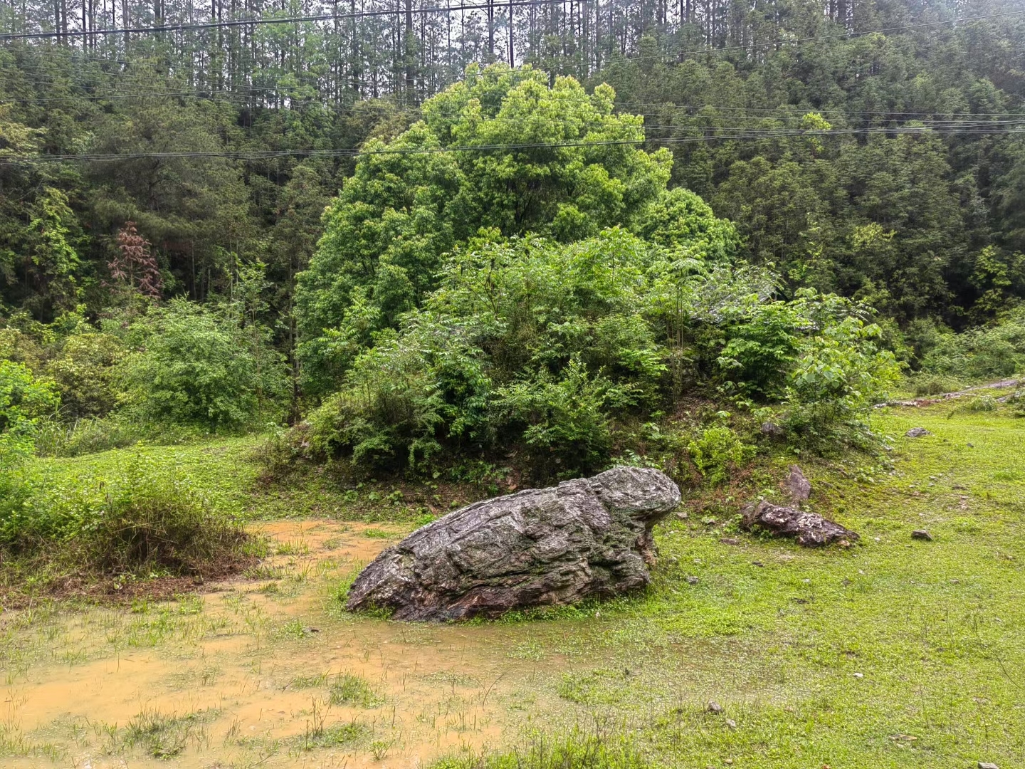 可爱的大自然