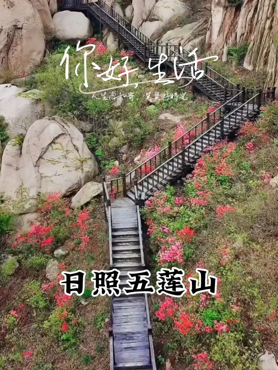 日照五莲山，与杜鹃花的邂逅之旅