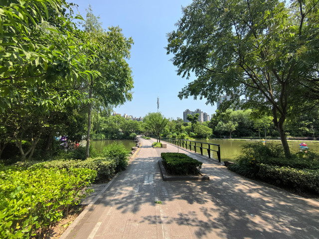 城市公园图鉴|大华行知公园2