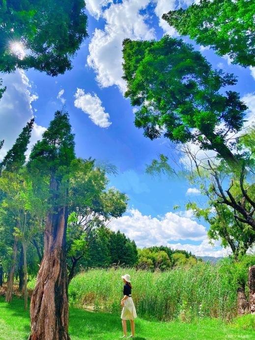 干沟尾湿地公园天空之镜