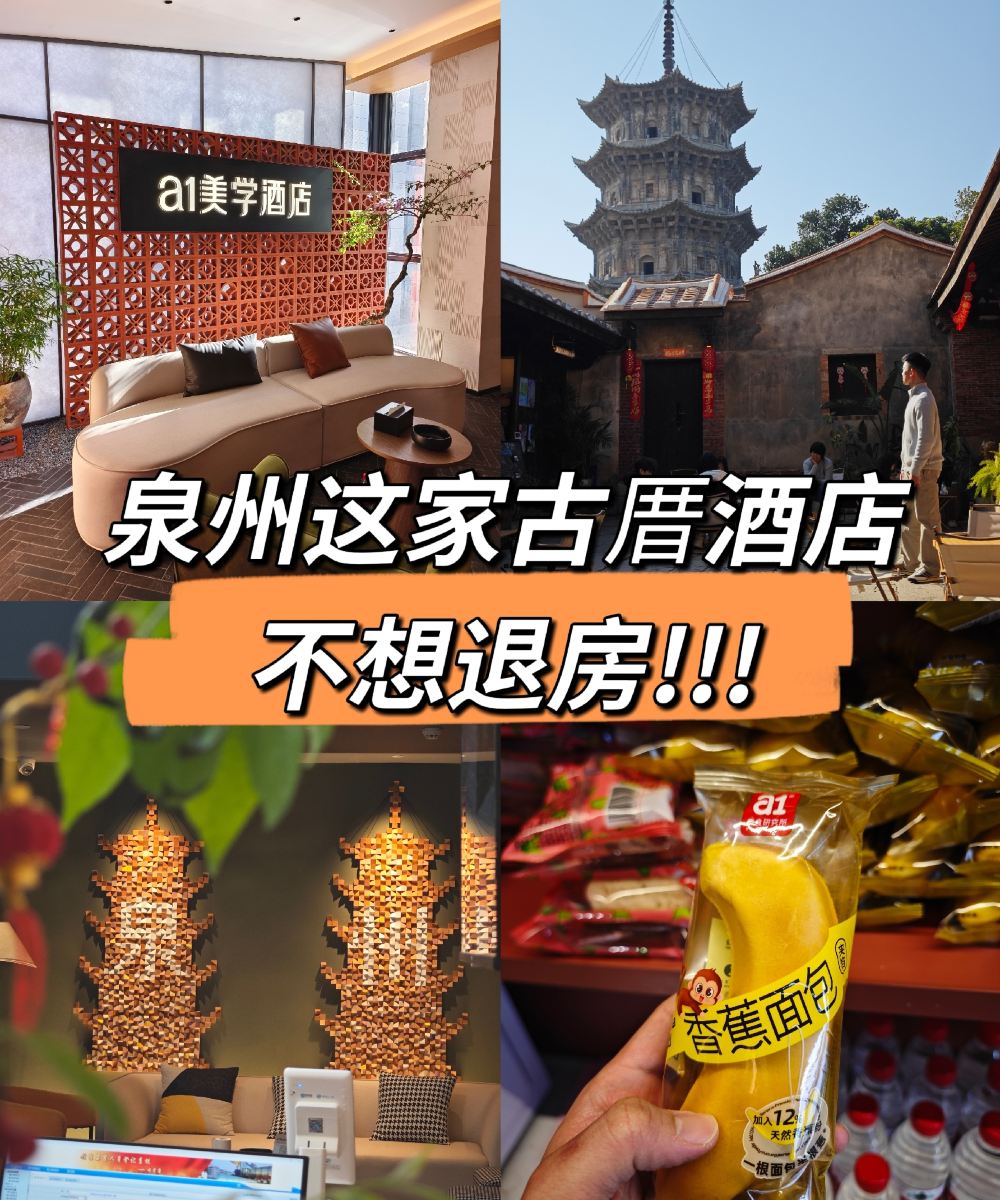 a1美学酒店图片