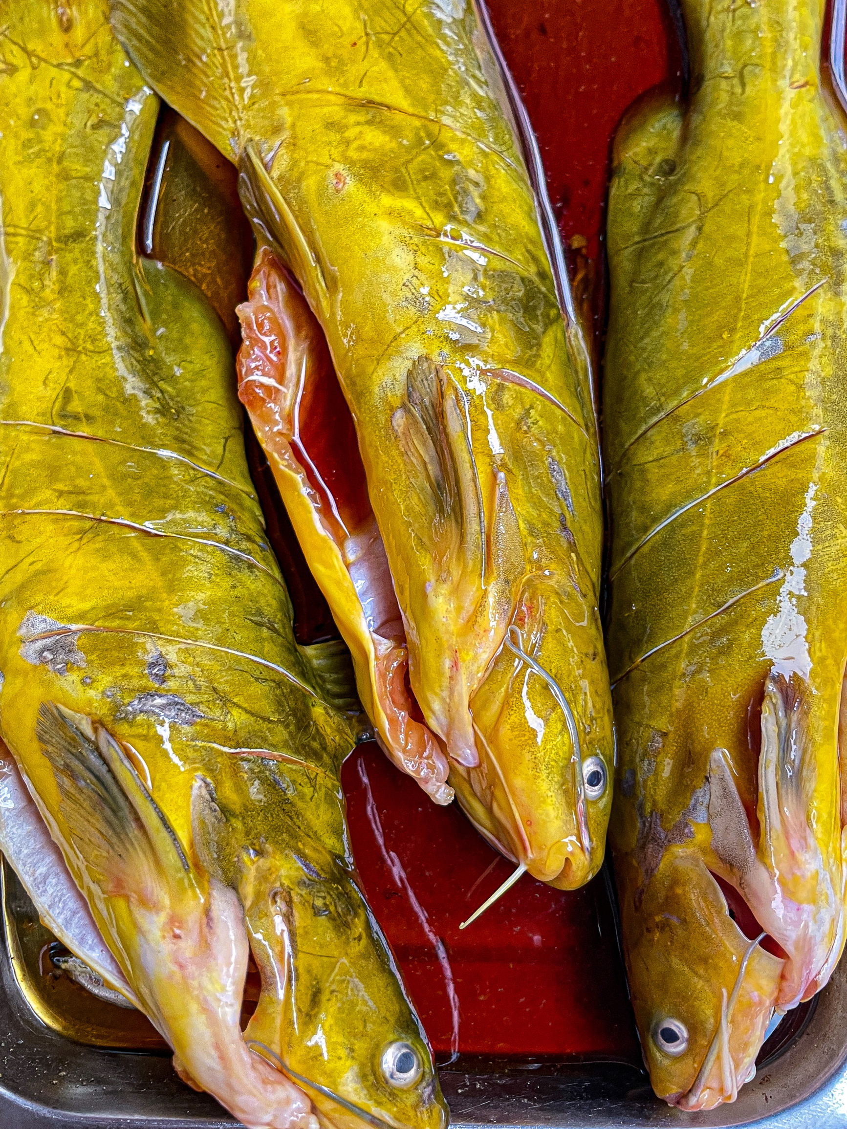 渝乡石锅鱼(后柳店)餐厅图片