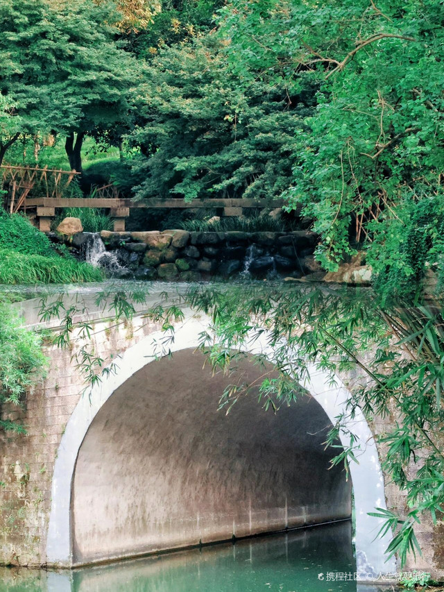 绝美春游地!杭州西湖乌龟潭游玩攻略