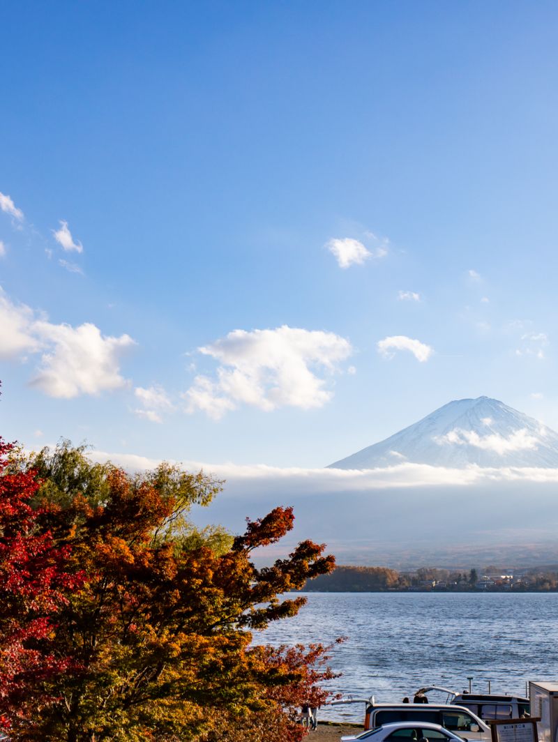 日本必打卡！富士河口湖度假酒店体验