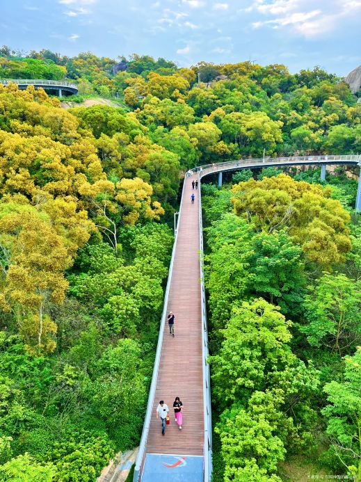 山海健康步道