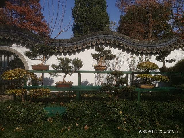 绮园|打卡海盐绮园景区