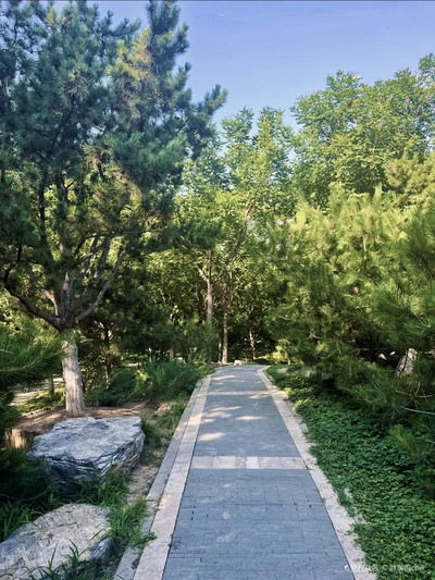 北京夏日可以带娃待一整天的免费公园➡️西海子公园