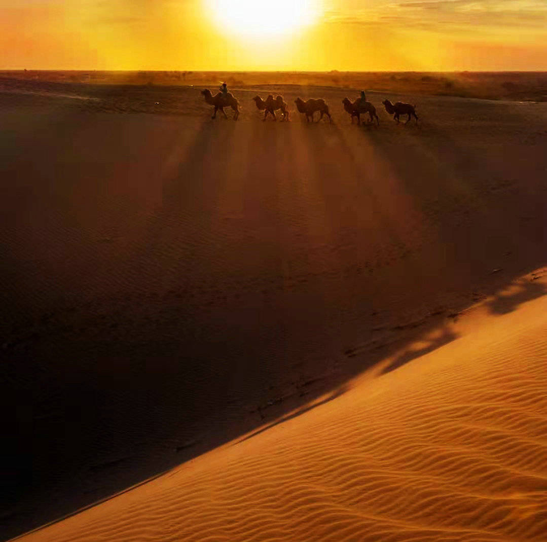 “大漠音符，奈曼沙漠奇幻之旅”
