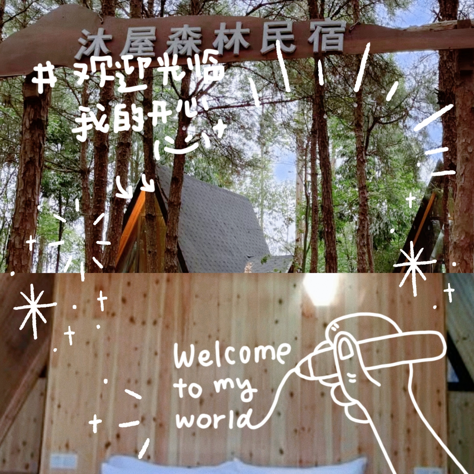 重庆有一个小北欧|去森林的小木屋吸氧