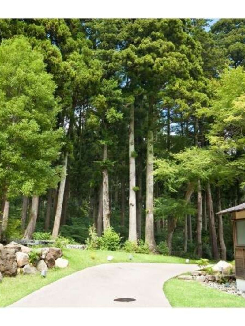 箱根翠松园：日本温泉天花板，必打卡！