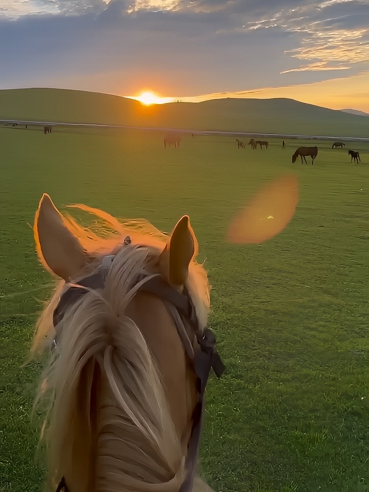总要来趟内蒙古看看一望无际的大草原吧！