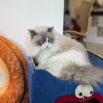 溜溜球爱到处溜