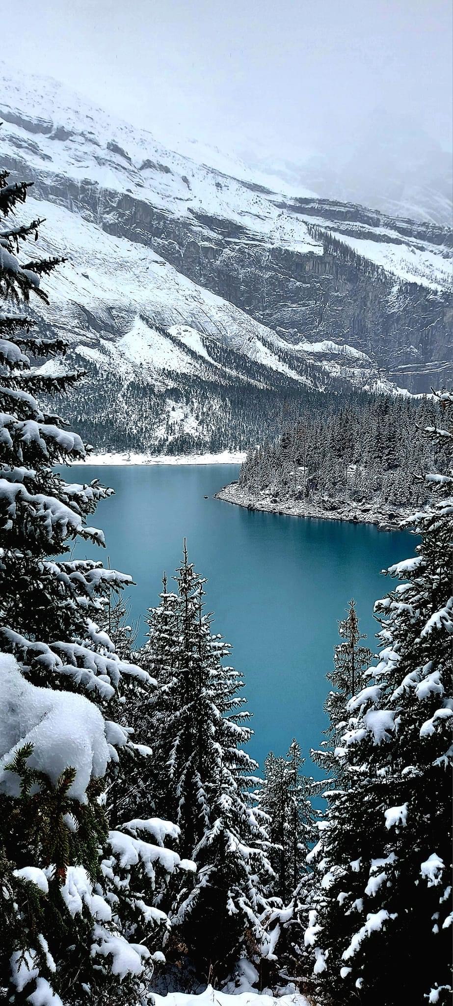 瑞士十大最美湖泊之一Orchinensee初冬