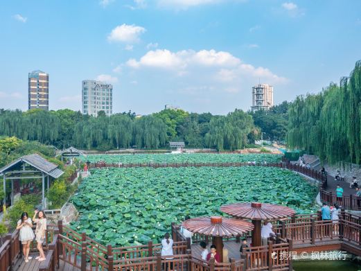 紫荆山公园