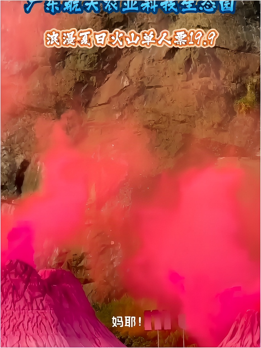 在这片花海中，粉色火山犹如一个浪漫的神话#国风赏花季#广东惠州航天农业科技生态园#广东航天农业科技生