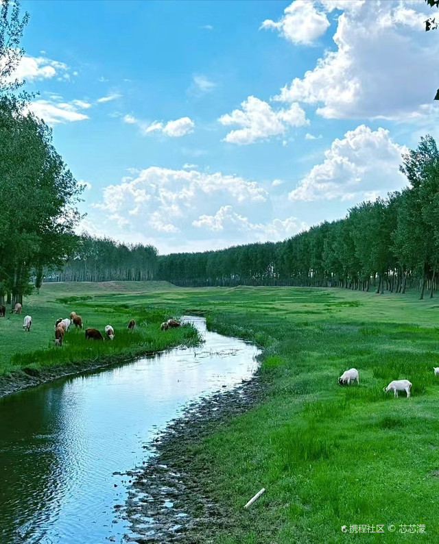 沈北法库獾子洞水库-适合一个人发呆的地方