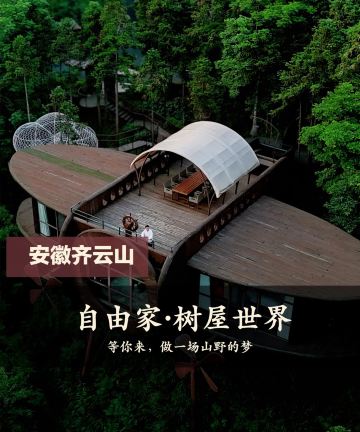 齐云山自由家·树屋世界图片