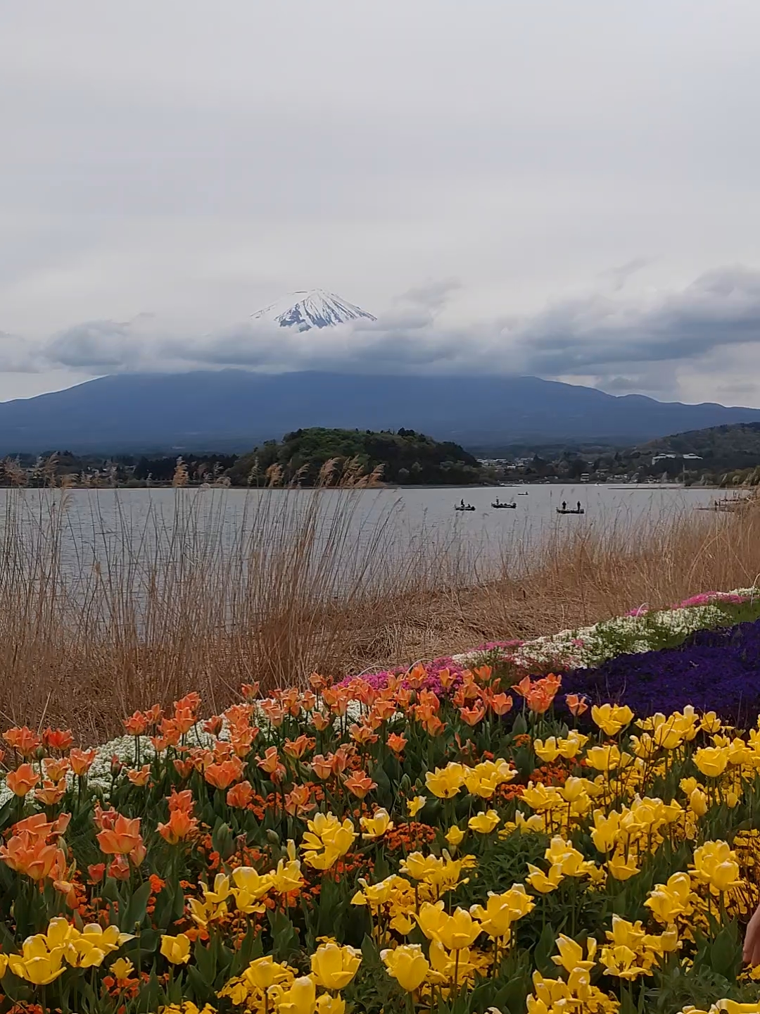 远观富士山