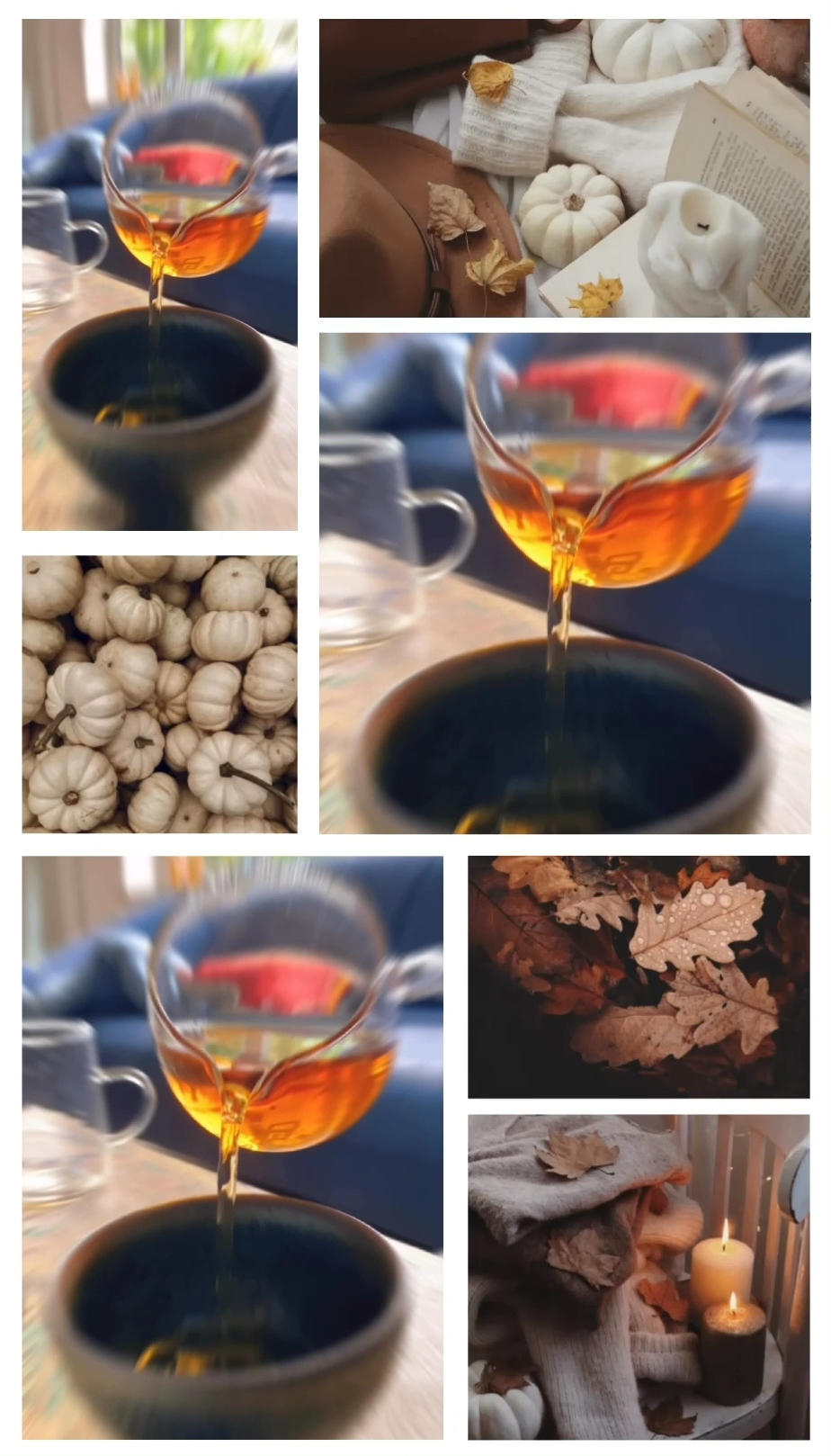 在海牙也能喝上一等的福建红茶