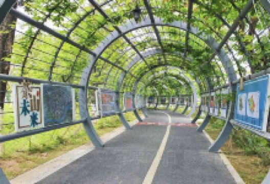 茶山圩公园景点图片