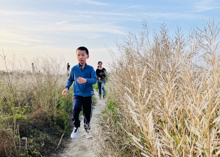 淀山湖烧烤区·湖边烧烤露营皮划艇