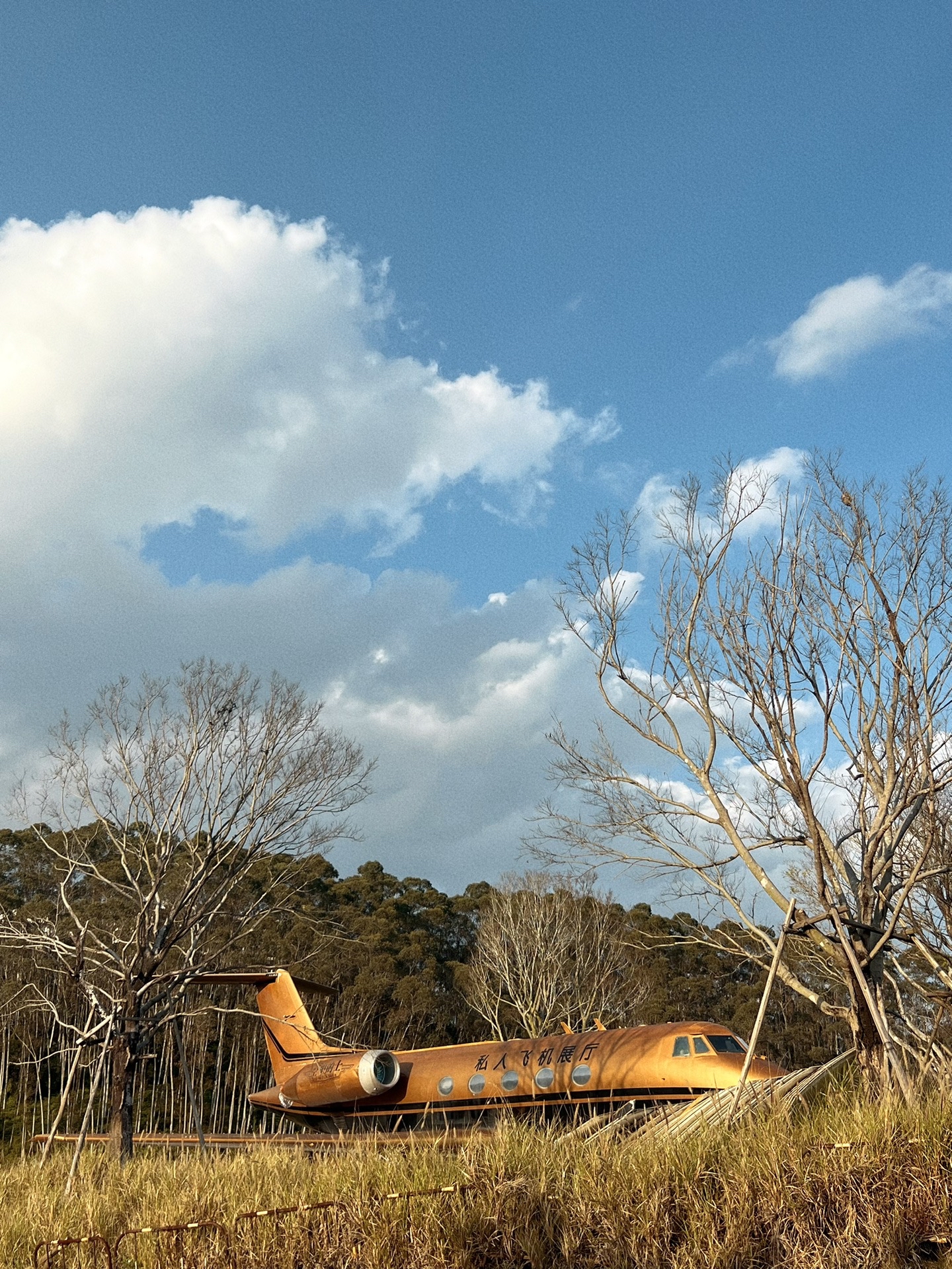 东安东联餐厅(国际新城店)