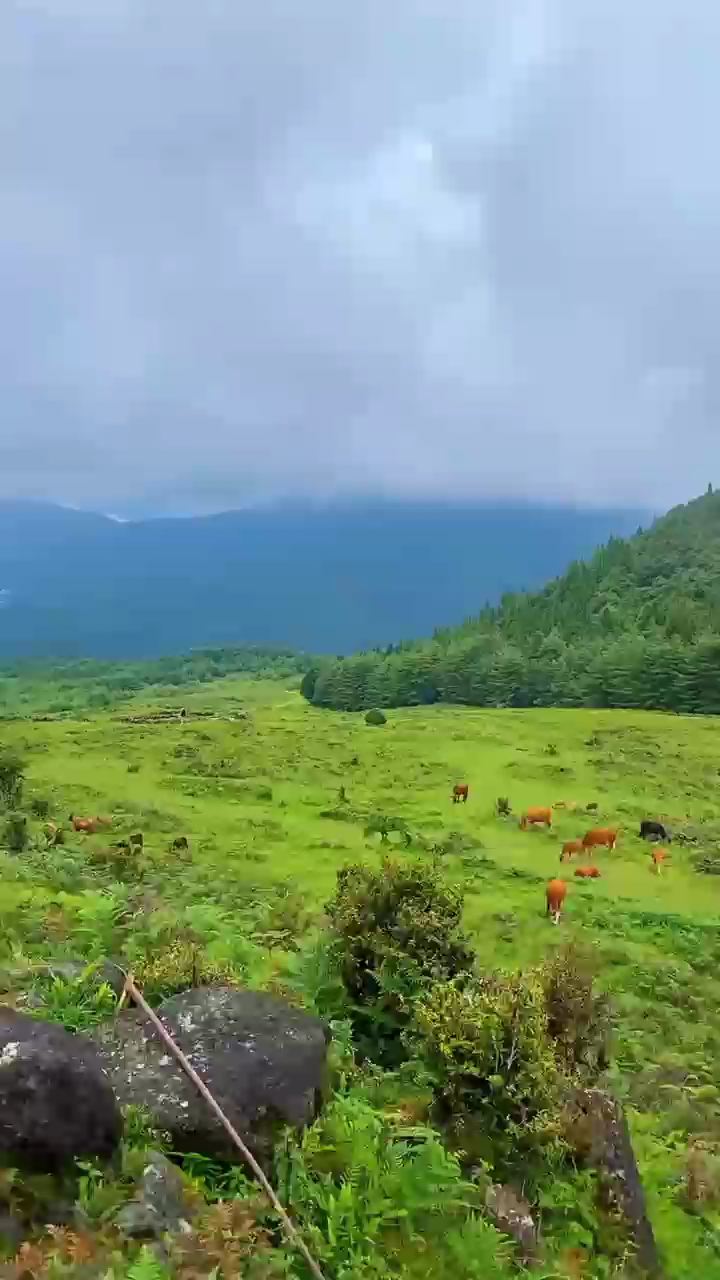 腾冲打鹰山