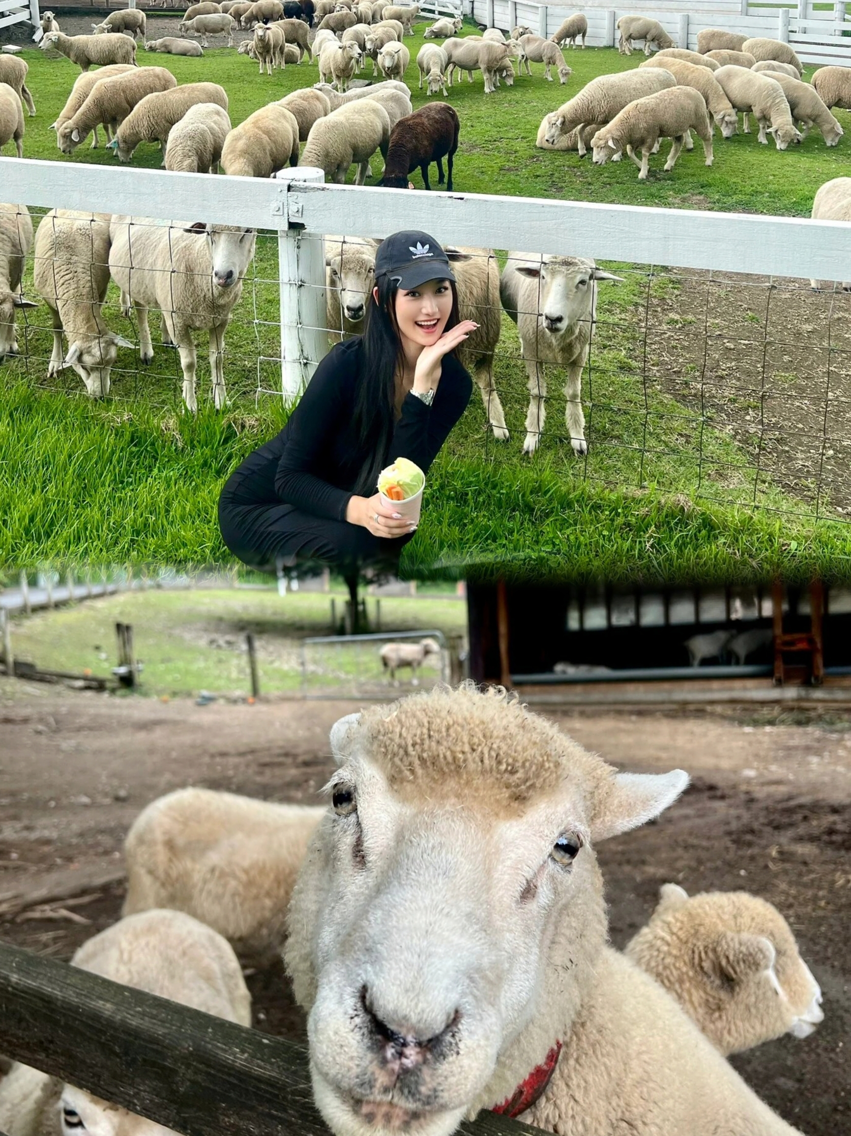 【伊香保绿色牧场🌾】亲子游的好去处！👨‍👩‍👧‍👦