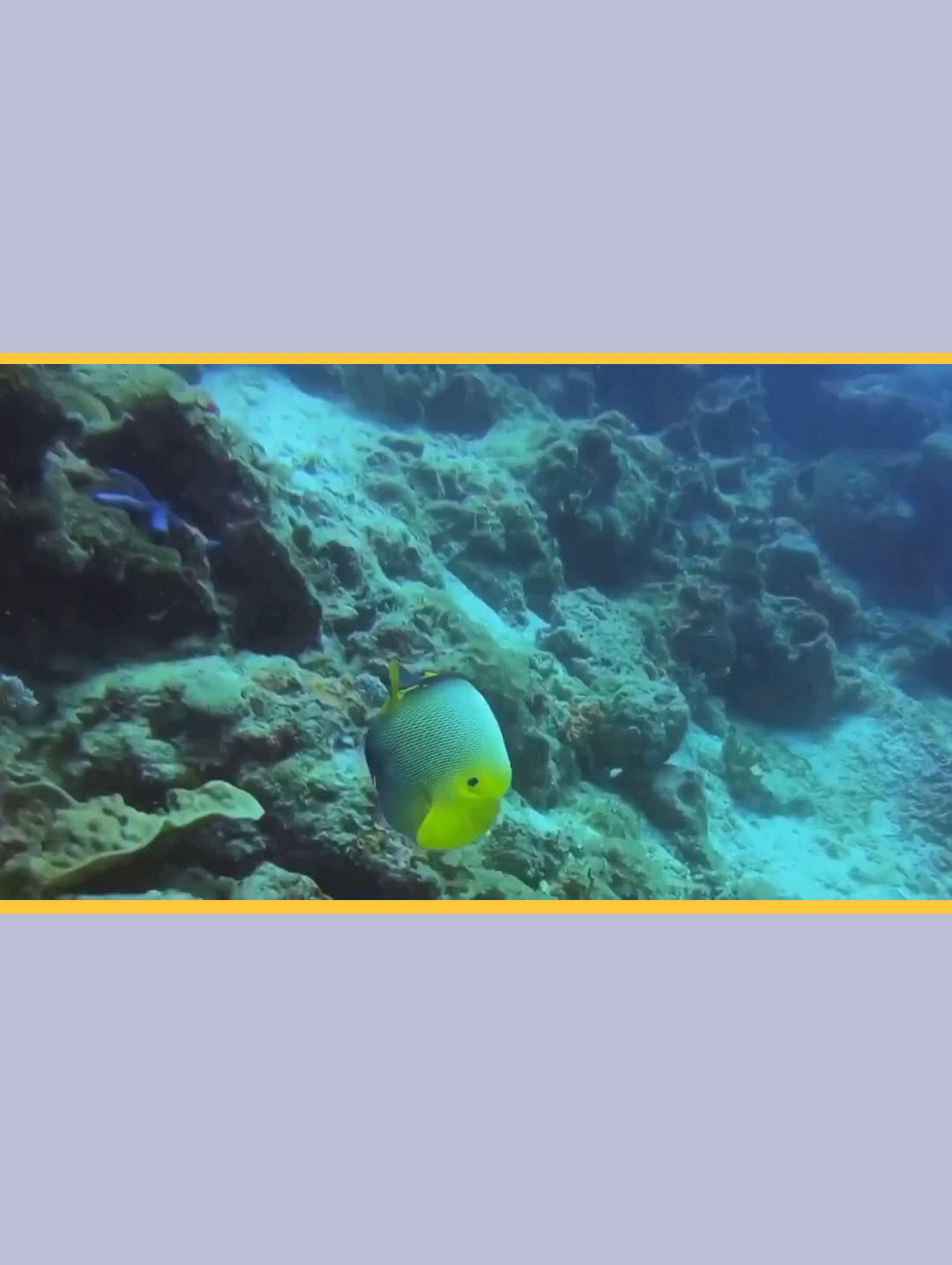 澳大利亚大堡礁：海底世界的奇迹乐园
