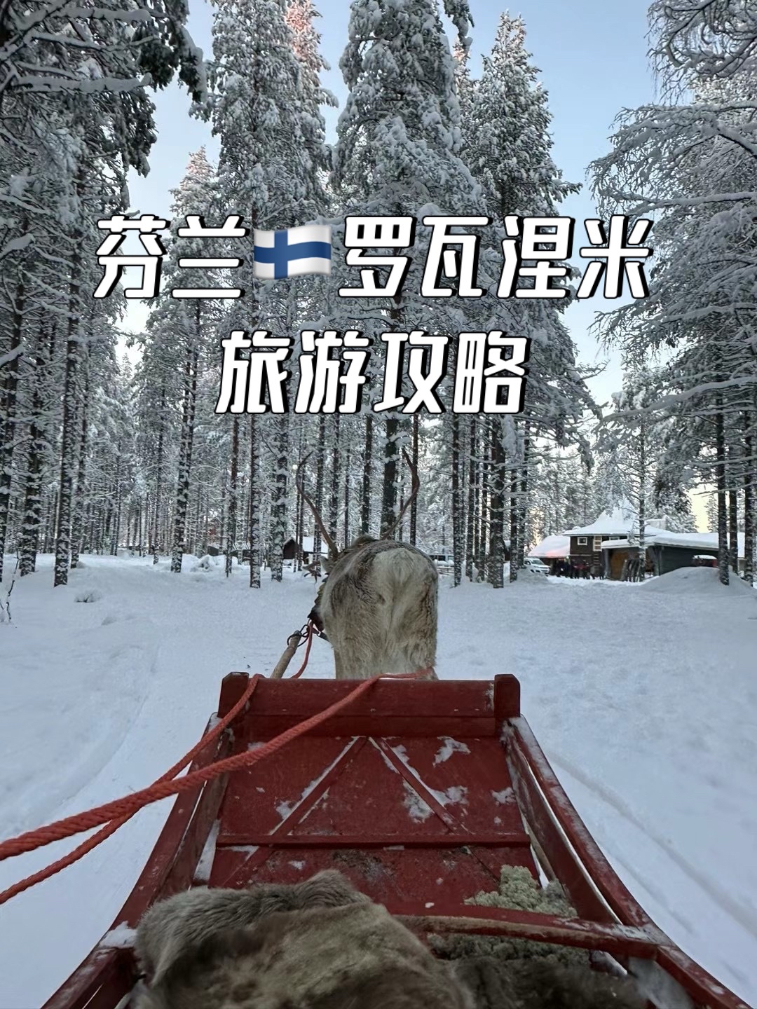芬兰🇫🇮｜探索白雪皑皑的童话世界