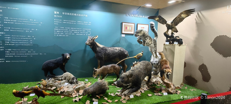 国家动物博物馆