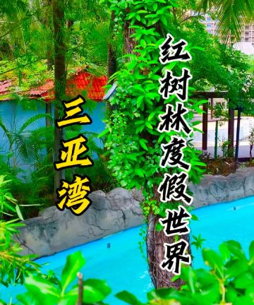 三亚湾红树林度假世界(椰林酒店)图片