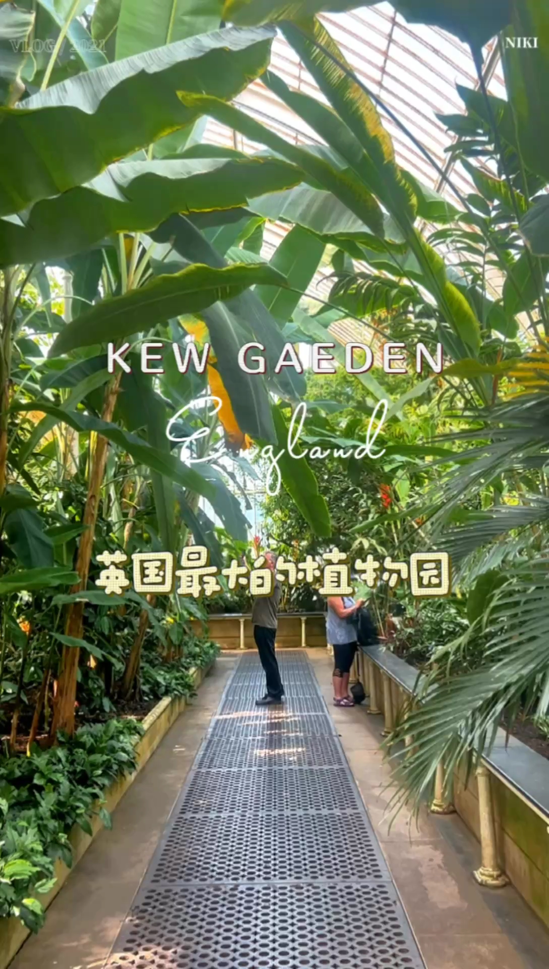 英国🇬🇧最大的植物园 Kew Garden