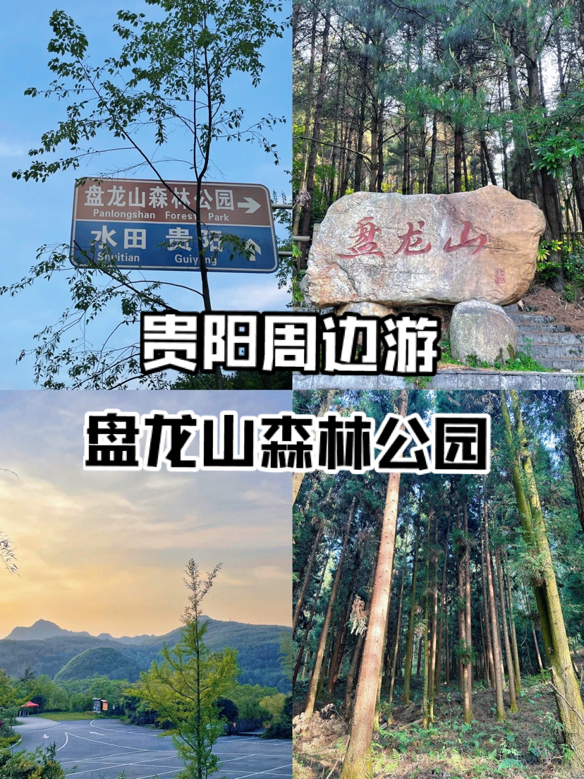 贵阳周边游～春日正好 不去盘龙山公园爬山可惜啦！！