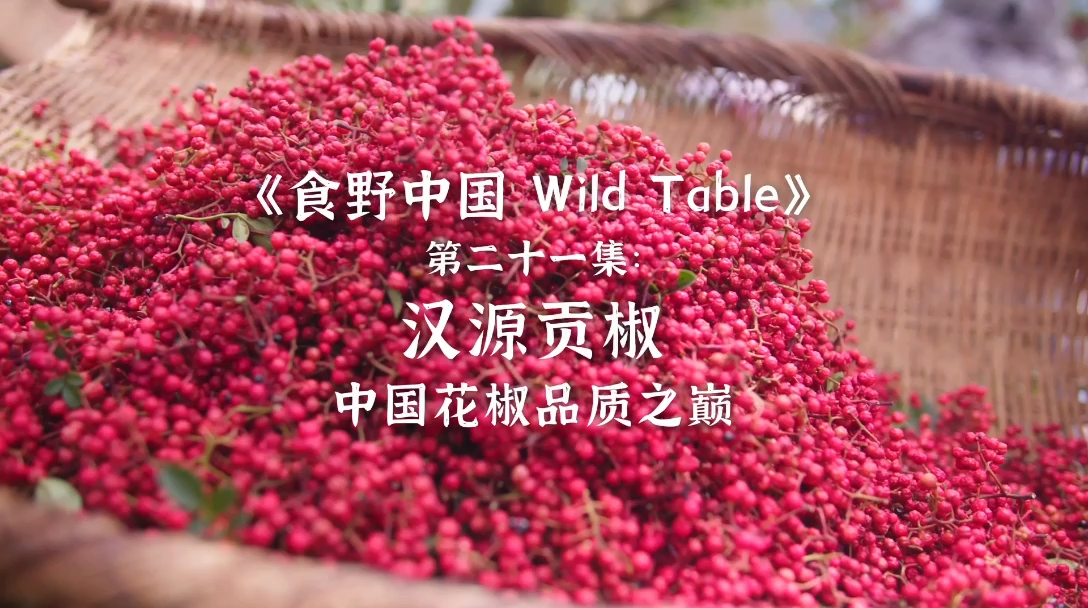 《食野中国 Wild Table》第21集预告片