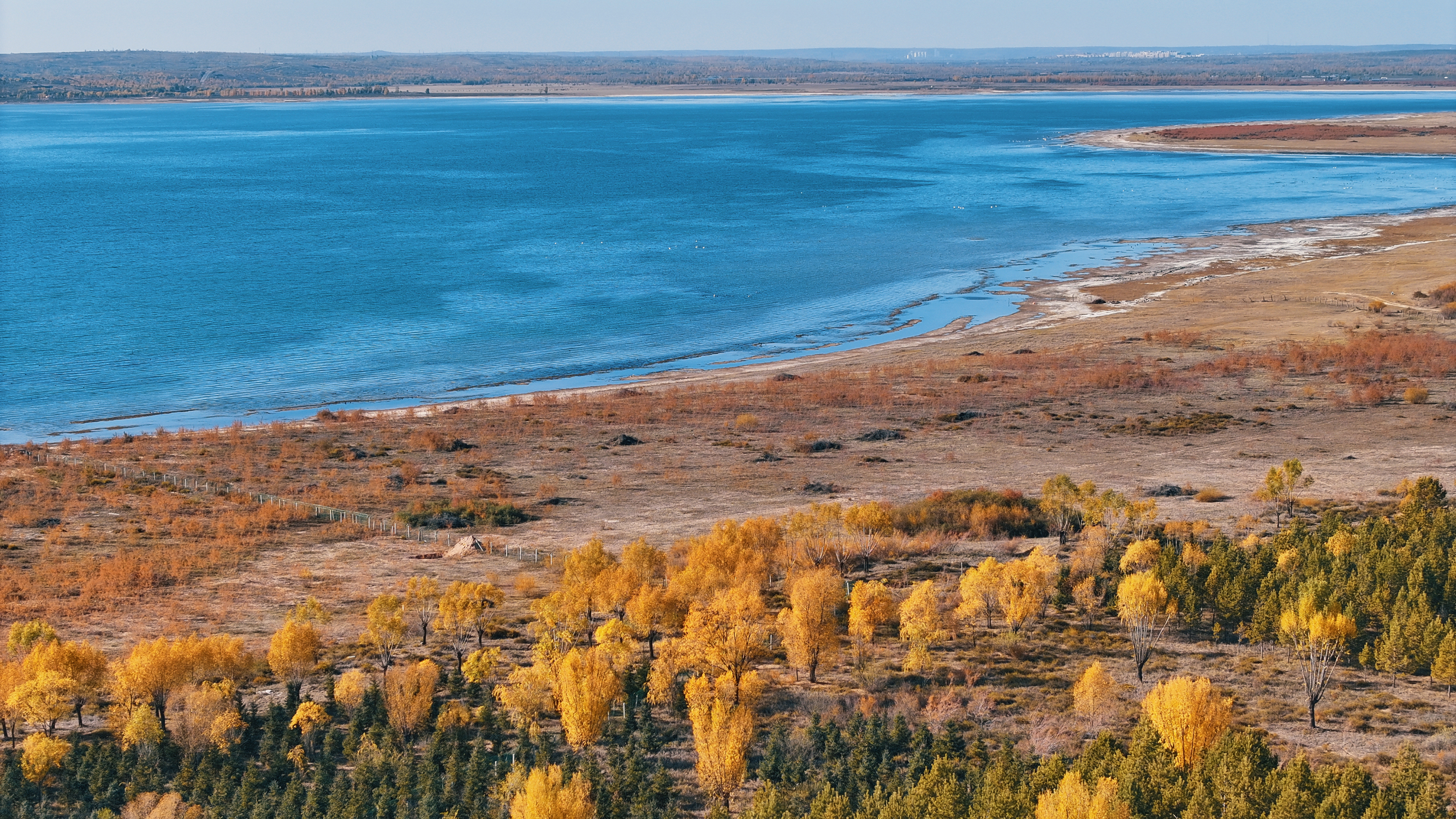 老字号·红碱淖炖鱼馆餐厅图片