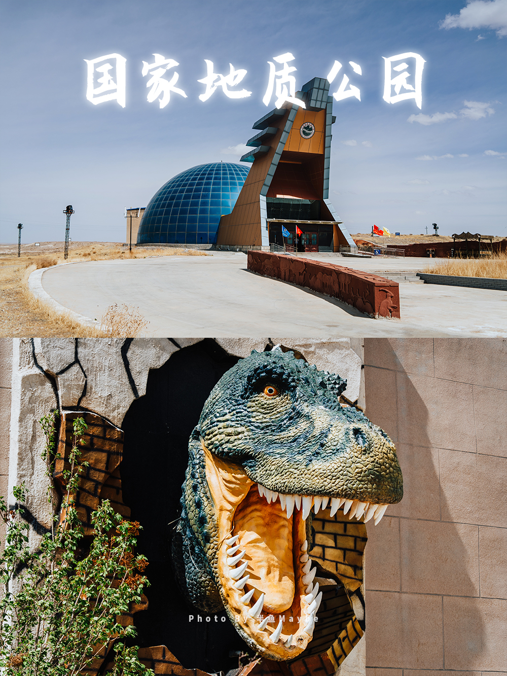 【二连浩特·国家地质公园】荒漠的恐龙世界｜半魚