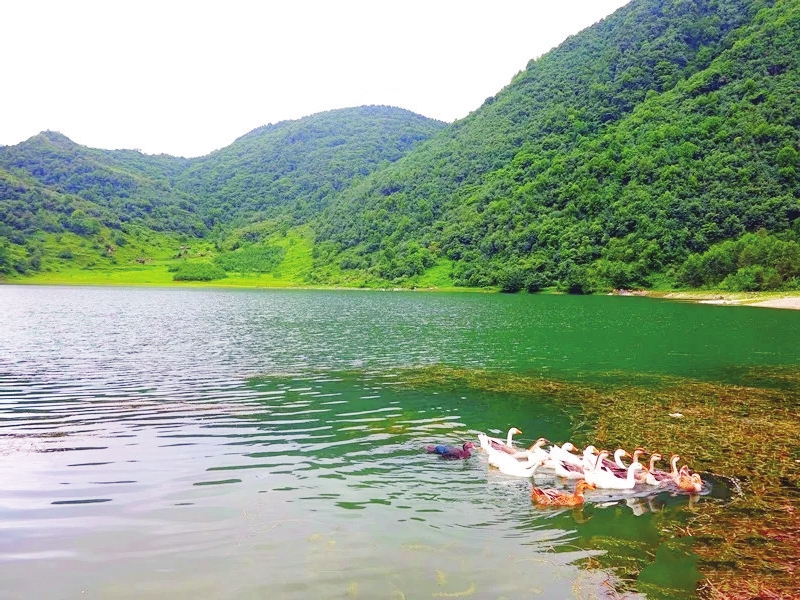 石棉茨格达海子，茨格达是一处藏在深山里的绝美海子，景色优美却一直鲜有人至，甚至很少有人听过它的名字。